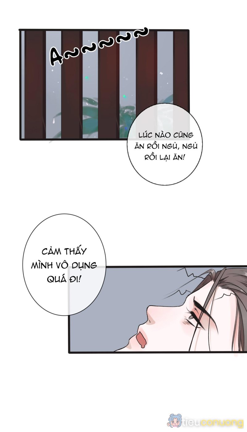 Hạnh Lâm Phương Hoa (END SS1) Chapter 15 - Page 3