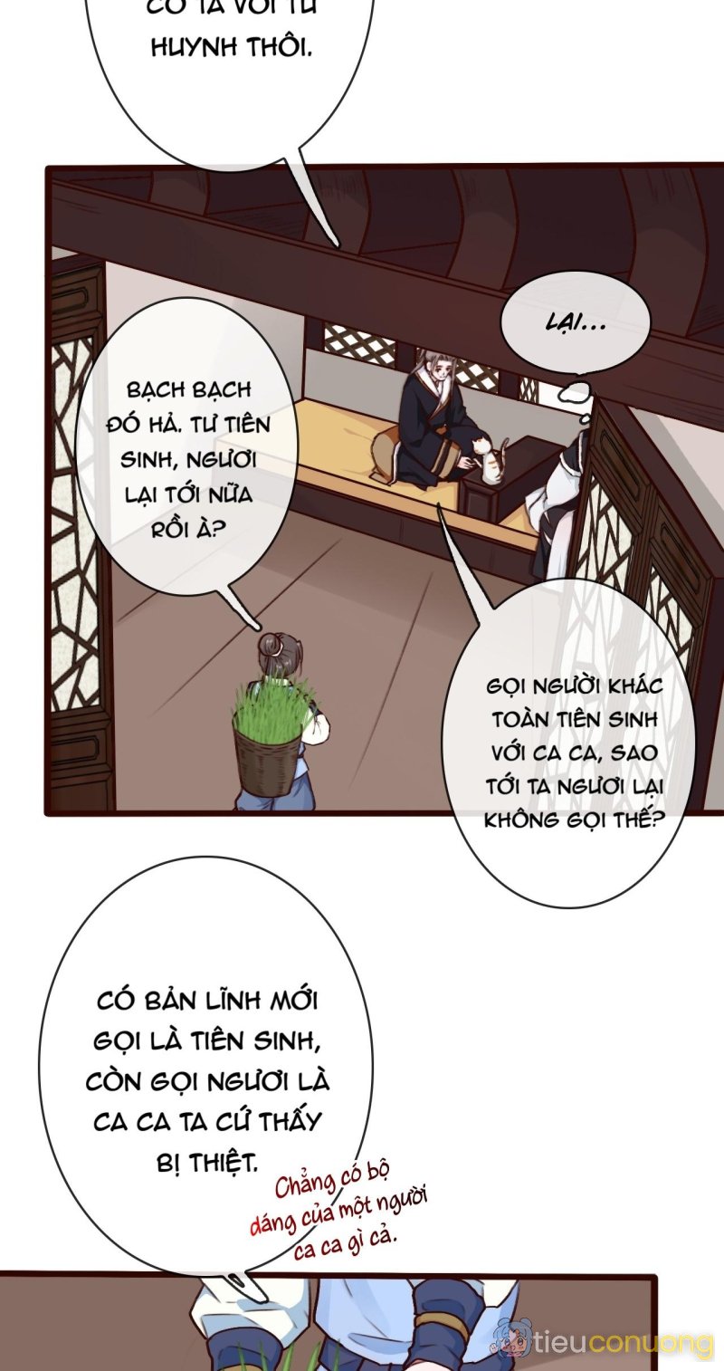 Hạnh Lâm Phương Hoa (END SS1) Chapter 35 - Page 29